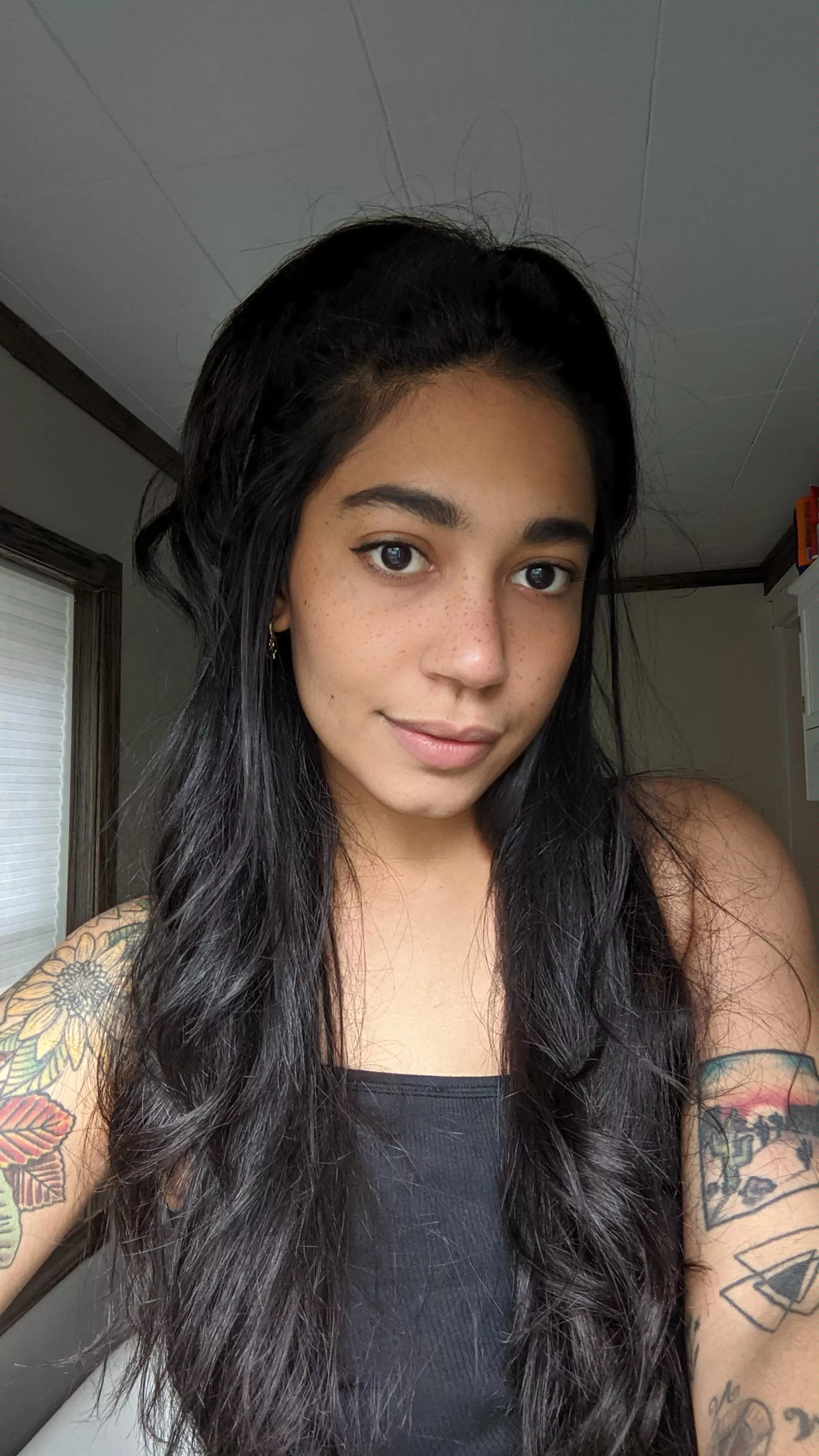 kiss every nose sprinkle kiss every nose sprinkle