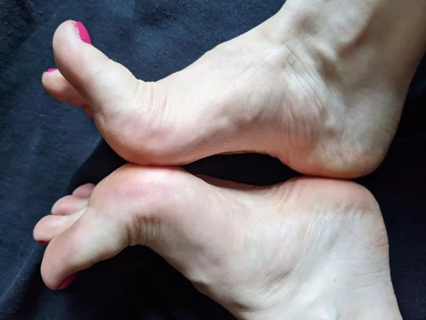 Kiss them, lick them Kiss them, lick them
