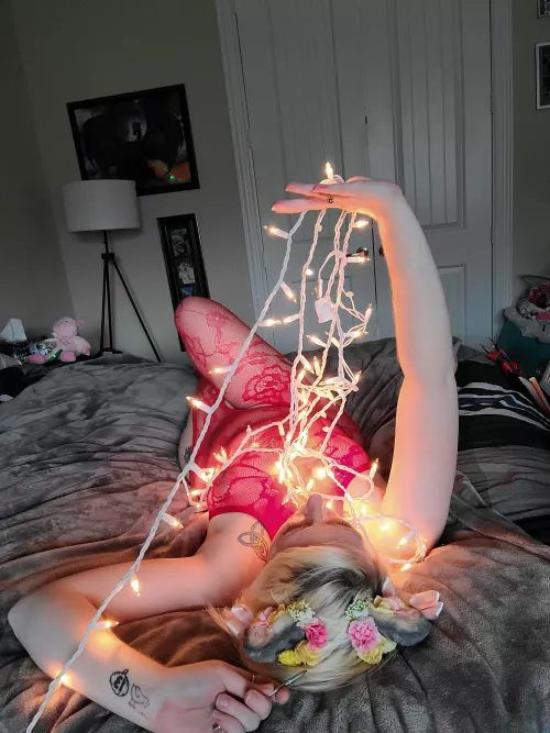 Kitten in red lounging and playing in Christmas lights