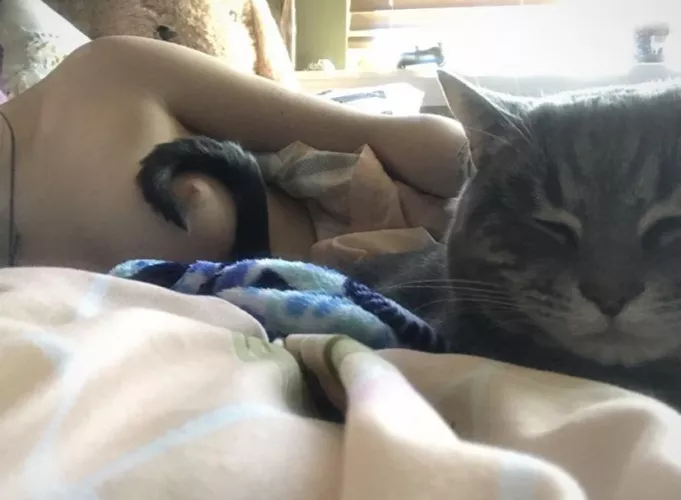 Kitties are always getting in the way! šš