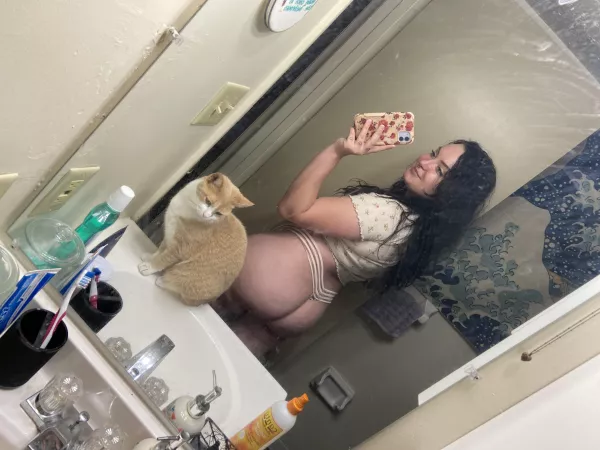kitty cat kitty cat kitty kitty cat, look at my ass it's fitty fitty fat π kitty cat kitty cat kitty kitty cat, look at my ass it's fitty fitty fat π
