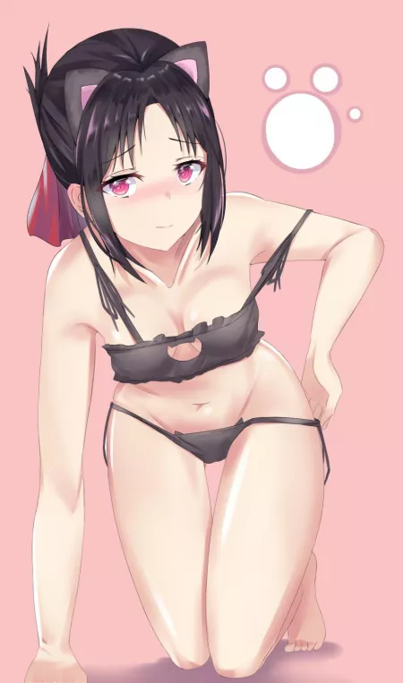 Kitty outfit Kitty outfit