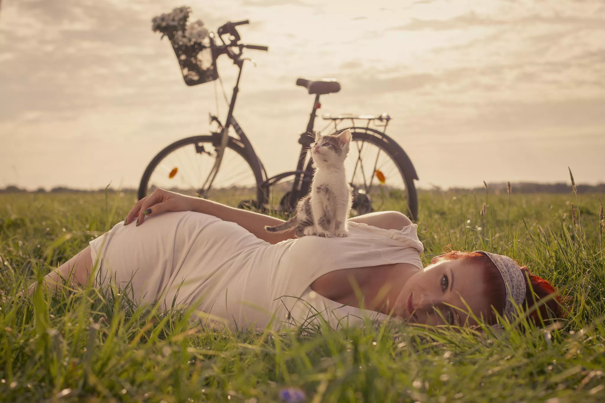 Kitty! (x-post from something, but don't remember what) Kitty! (x-post from something, but don't remember what)