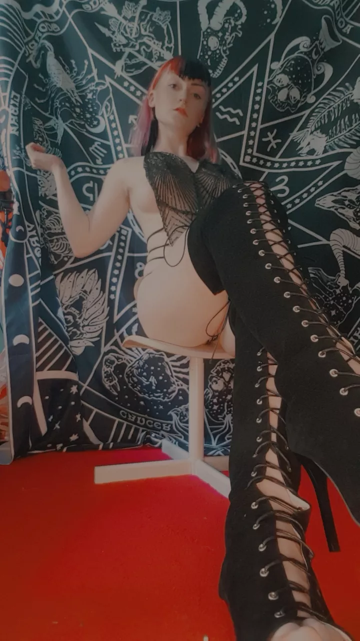 Kneel bitch. Ready to be owned? Obedient mutts only may approach. [Domme]