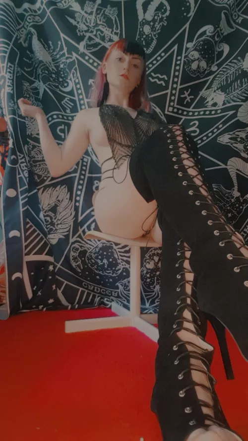 Kneel bitch. You're mine now😈🖤 [domme]