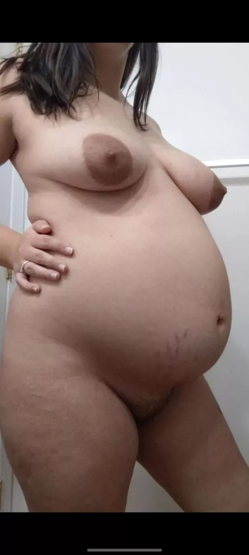 Last pregnancy, who wants to breed me again?π₯΅