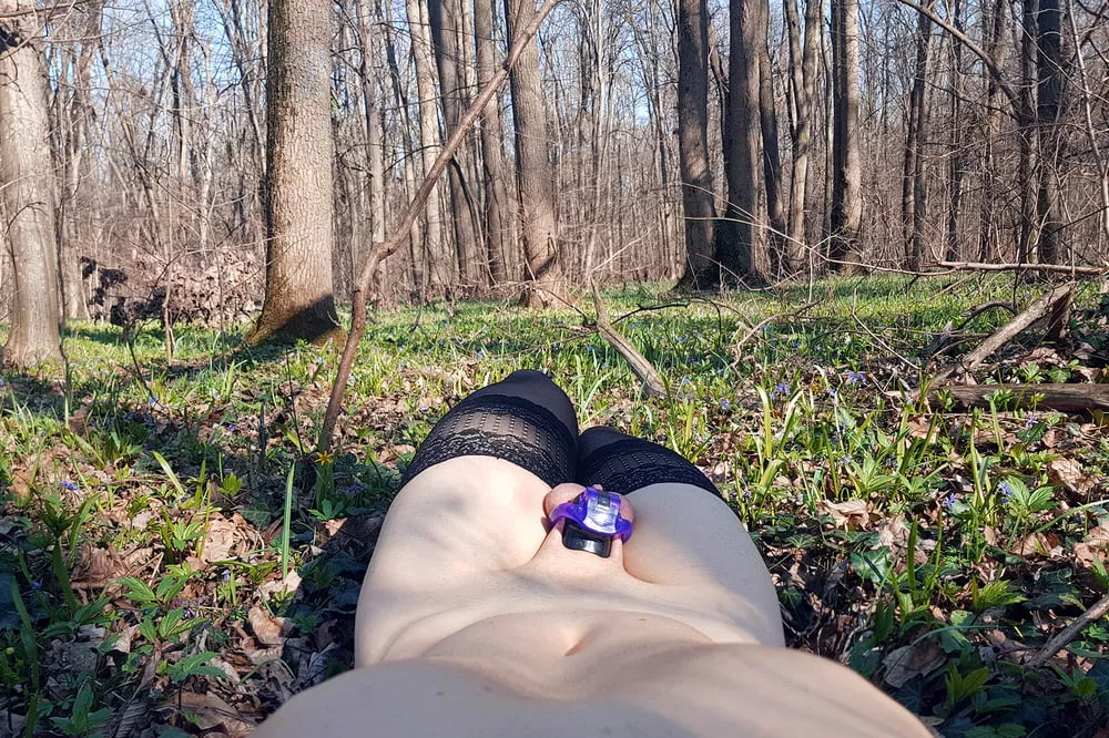 Laying in the forest, waiting to be found Laying in the forest, waiting to be found