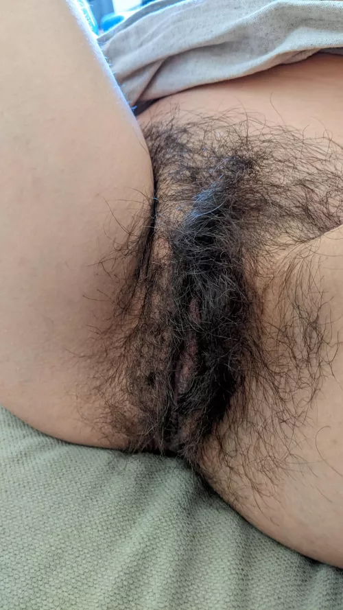 Lazy Saturday