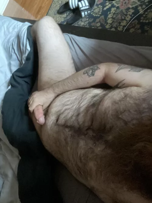 Lazy Saturday