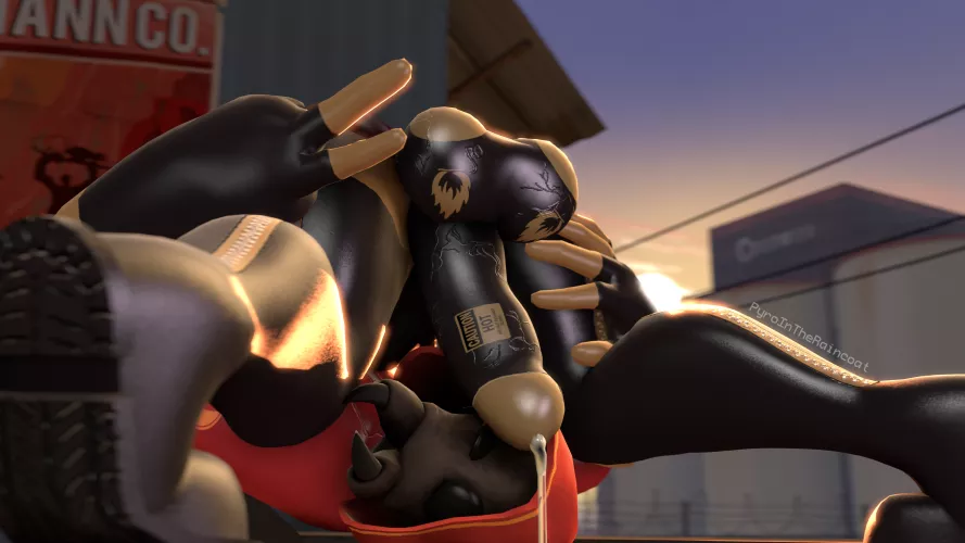 Lazy sunset | new cock model