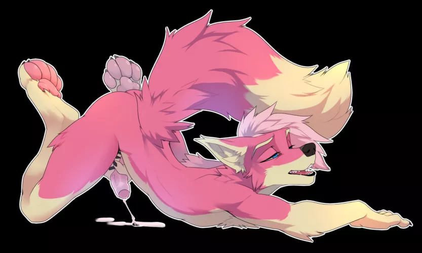Lazzie (Drmax) Lazzie (Drmax)