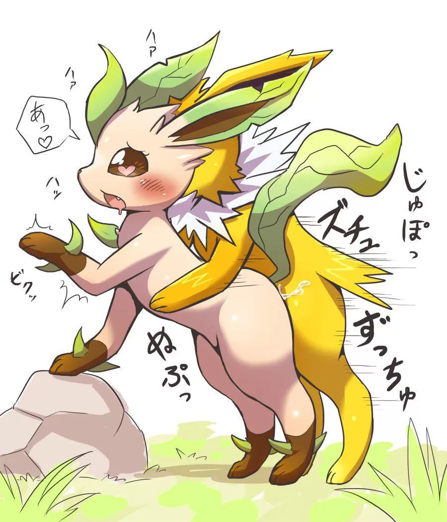 Leafeon X Jolteon Leafeon X Jolteon