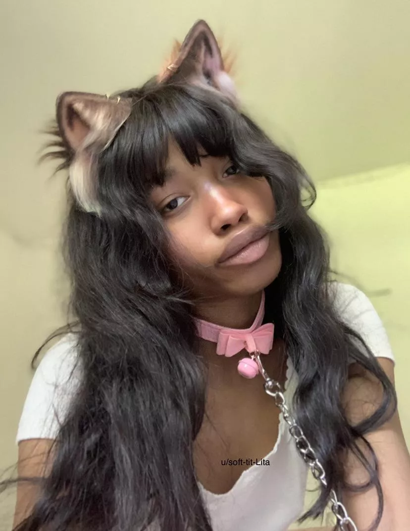 leash trained kitty 💗🐈‍⬛