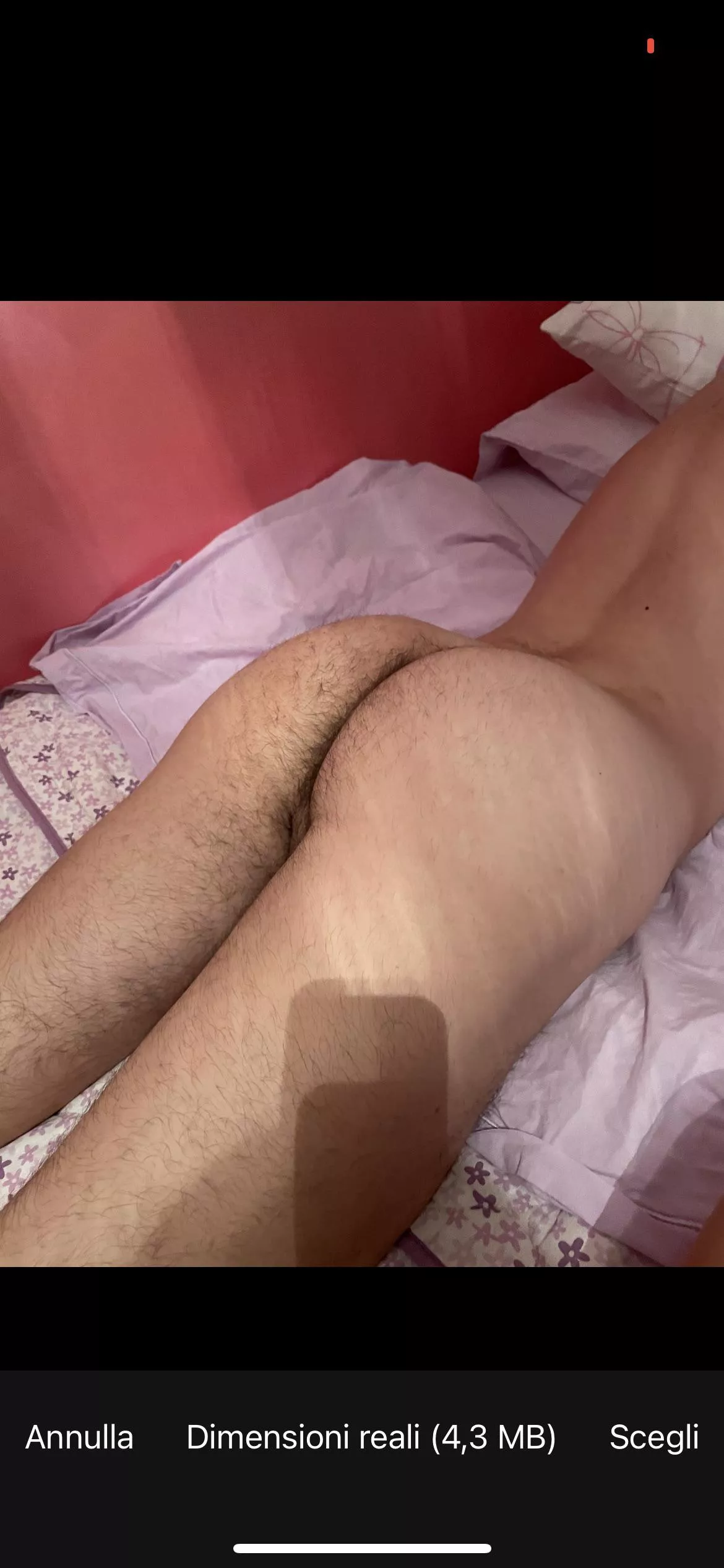 Lecken my ass