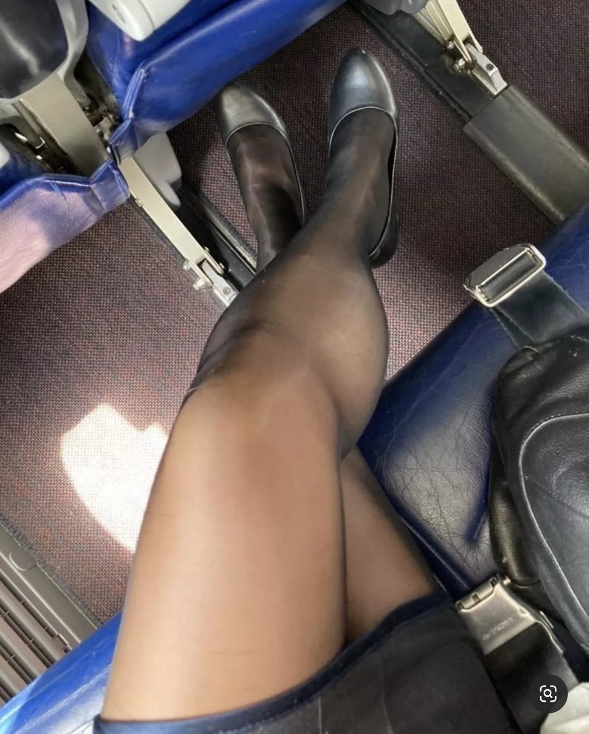 Legs of the day Legs of the day