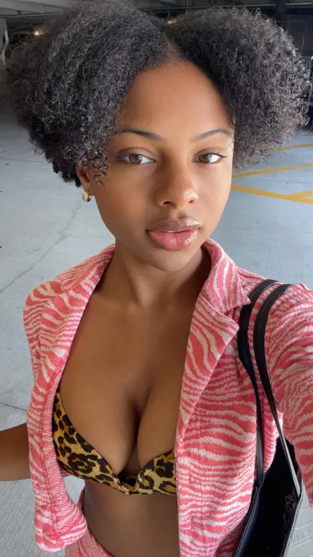 Leopard or Zebra?