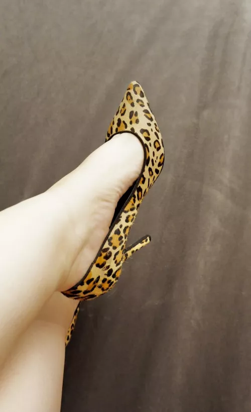 Leopard print everyday ๐
