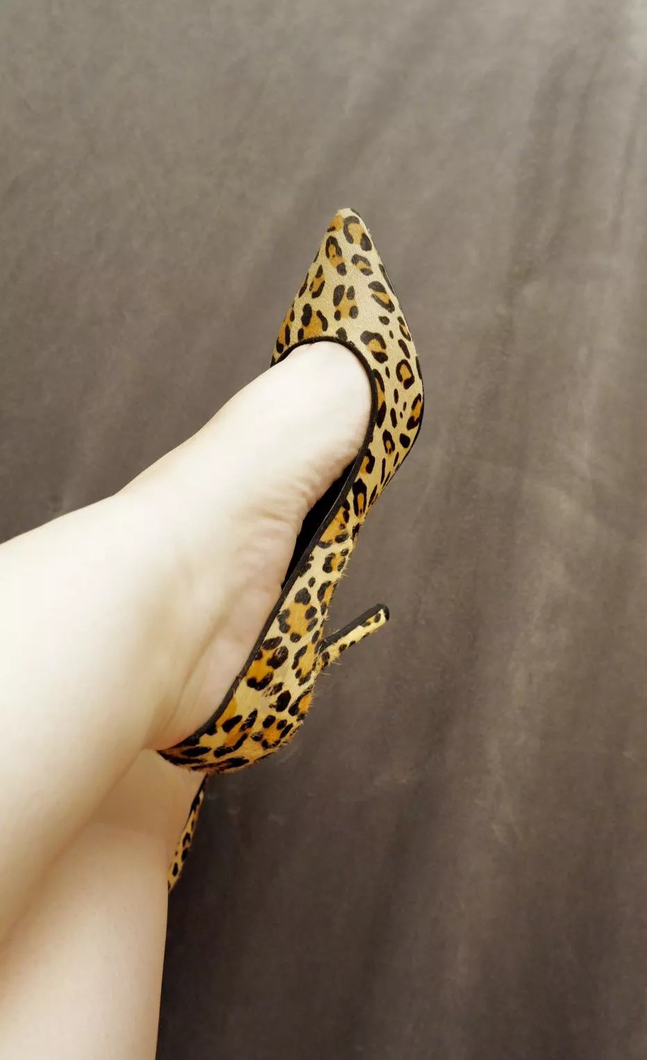 Leopard print everyday 😝