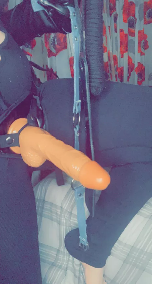 let me own you little bitch [domme]