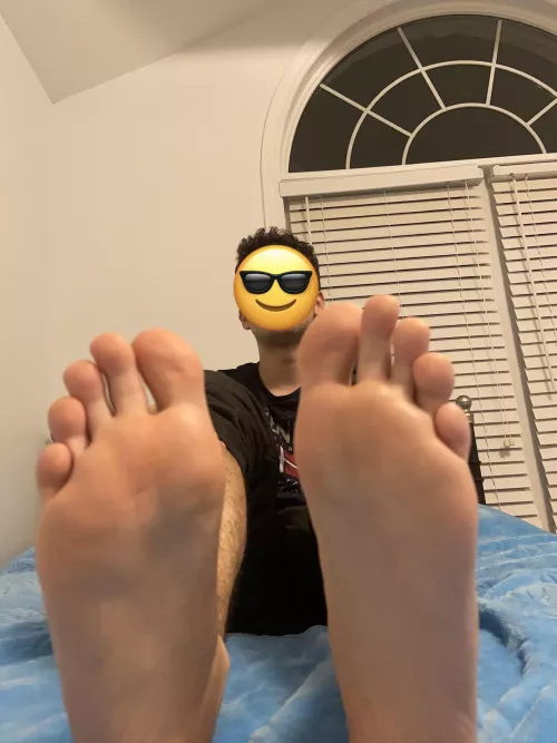 Let me wipe my feet on your face