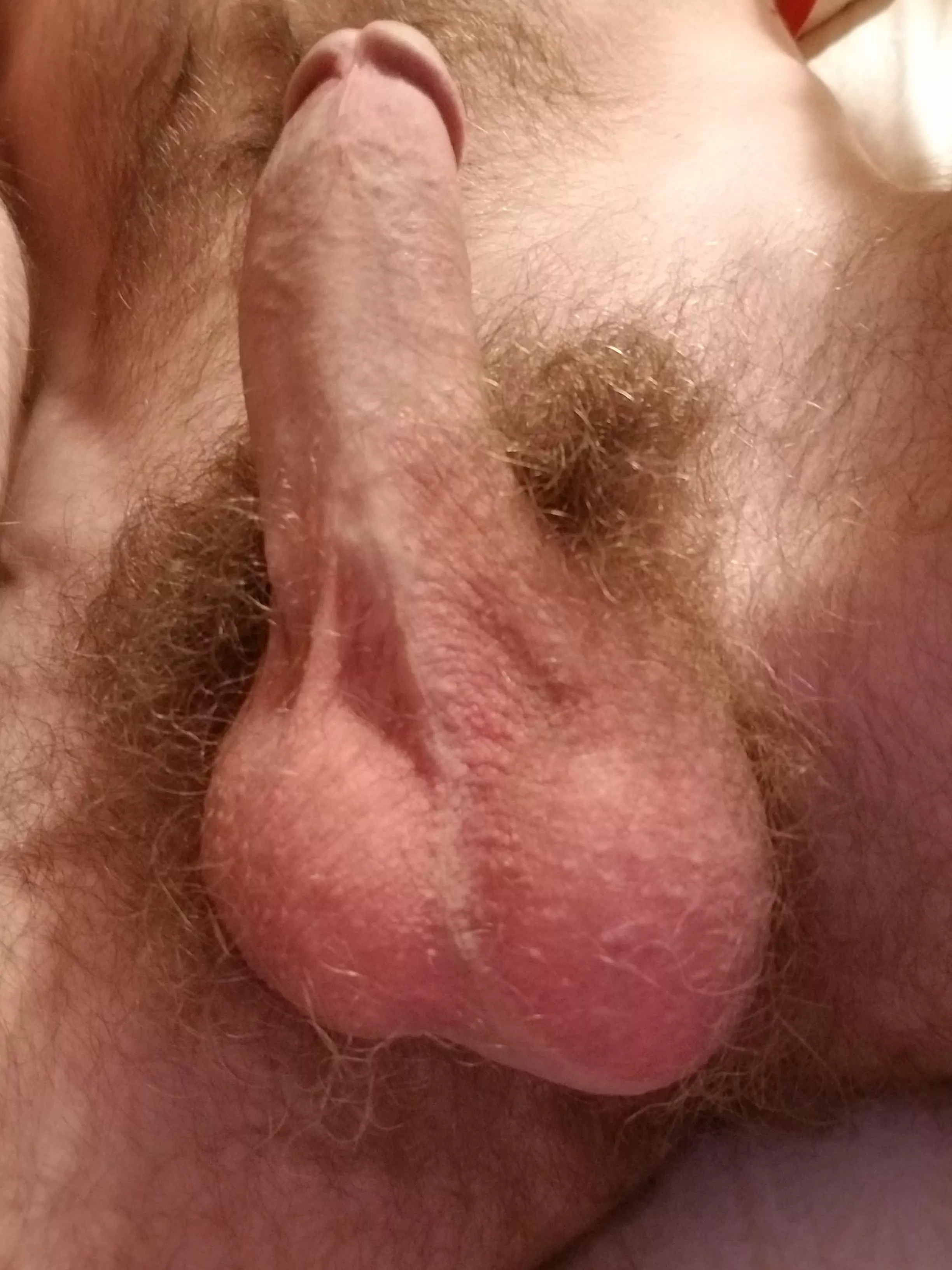 Let them bounce in your mouth while you stroke my shaft Let them bounce in your mouth while you stroke my shaft