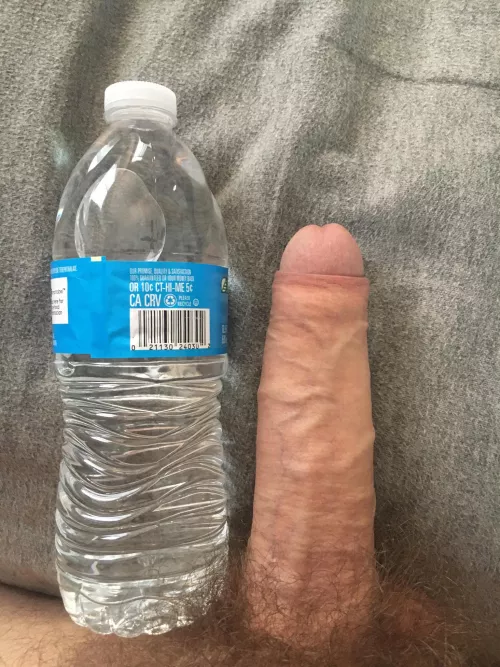 Let's compare together