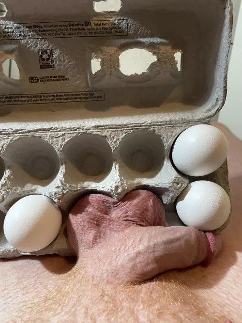 Let’s Crack Some Eggs Let’s Crack Some Eggs