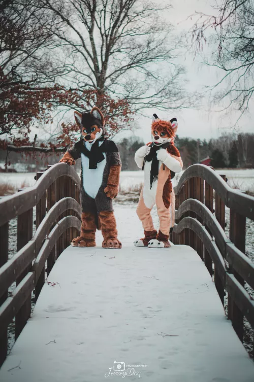 Let's cross this bridge and continue our adventure! Featuring my fellow OwO friend @LucienShepherd