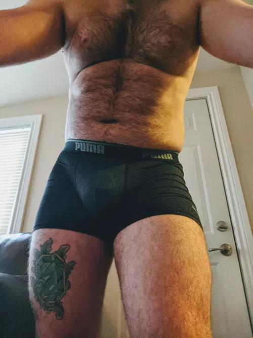 Let's cub hug & cuddle π»π
