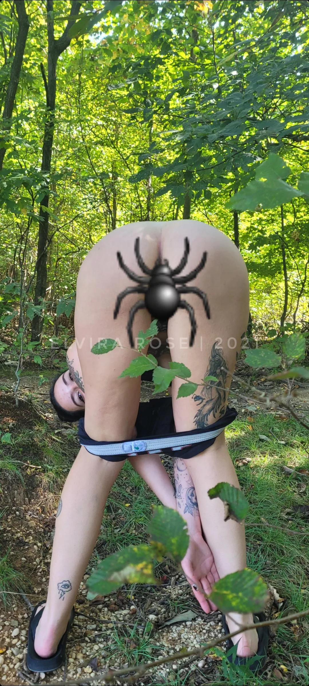 Let's get in touch with nature ? [f] (6')