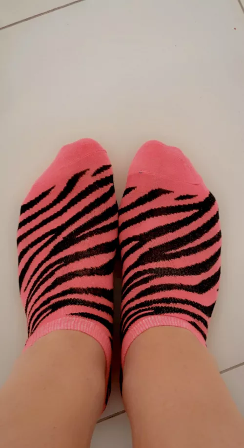 Let’s get wild baby