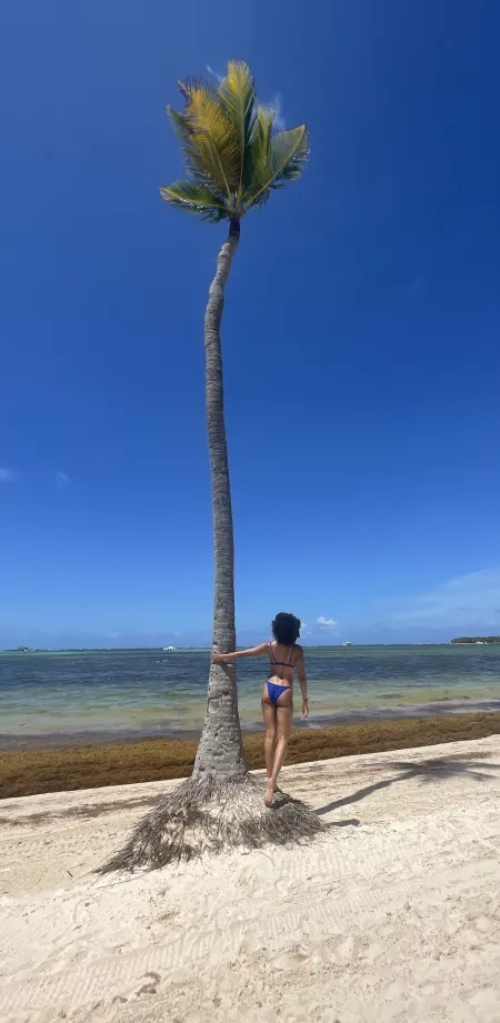 Letβs go to the beach