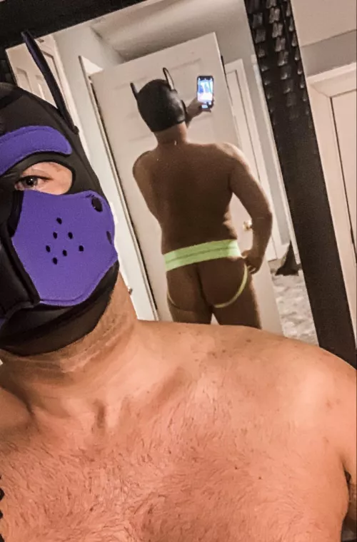 Let’s have some fun 🐶. Twitter: Pup__Blaze