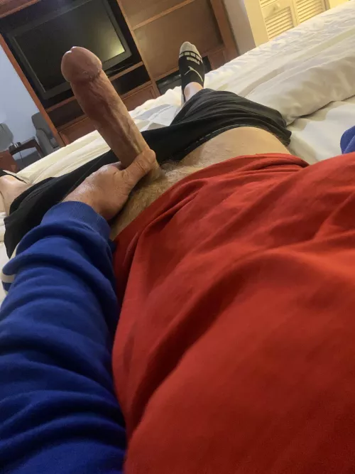 Letβs make a litter of nerds