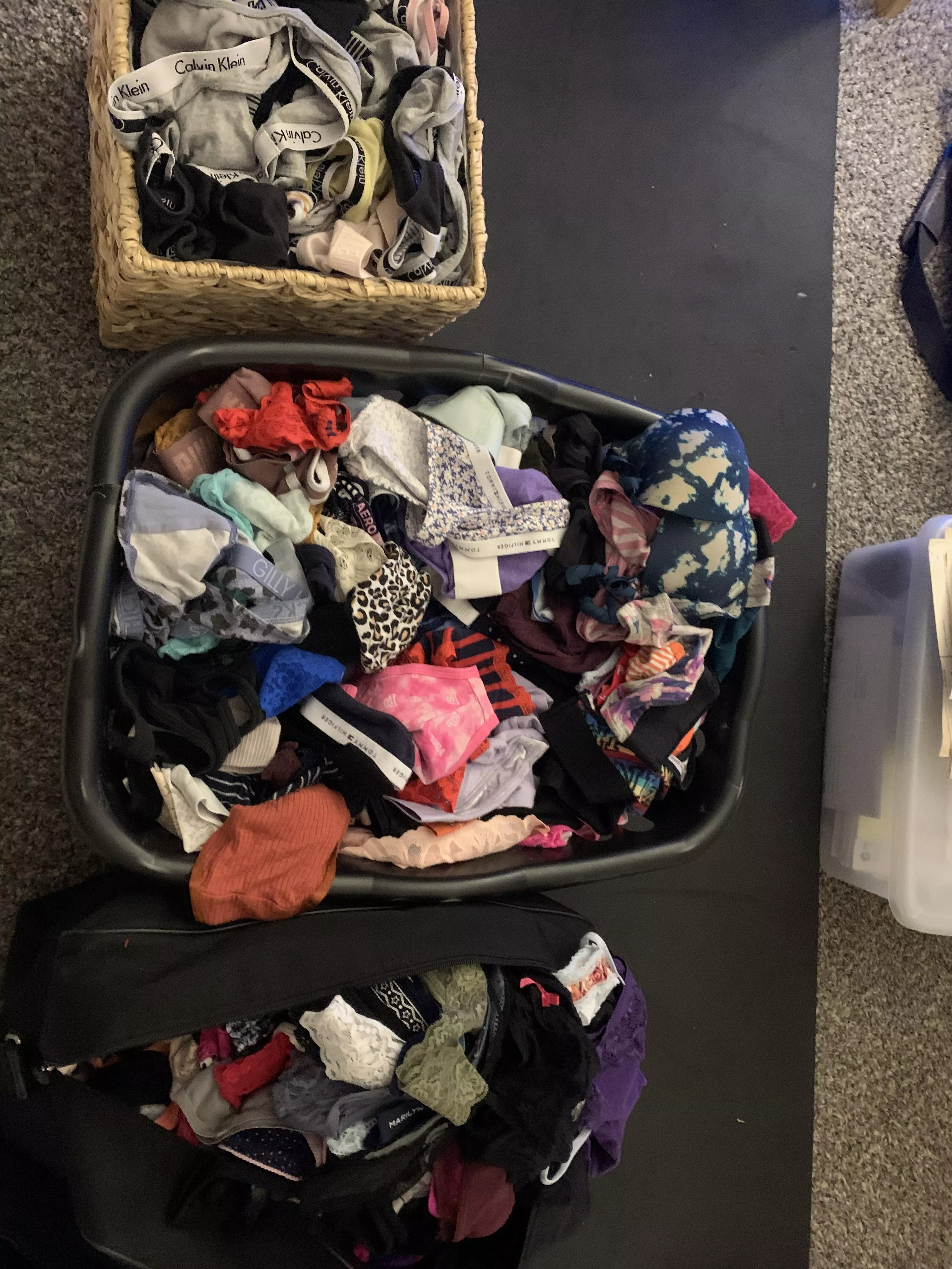 Let's play a game Comment a style of panty (red, lace, bikini) and I'll try to find one in my huge collection Get creative I have hundreds and I'll post pics. I only wear my Calvin's so if anyone is interested in buying I'm willing to send them Let's play a game Comment a style of panty (red, lace, bikini) and I'll try to find one in my huge collection Get creative I have hundreds and I'll post pics. I only wear my Calvin's so if anyone is interested in buying I'm willing to send them