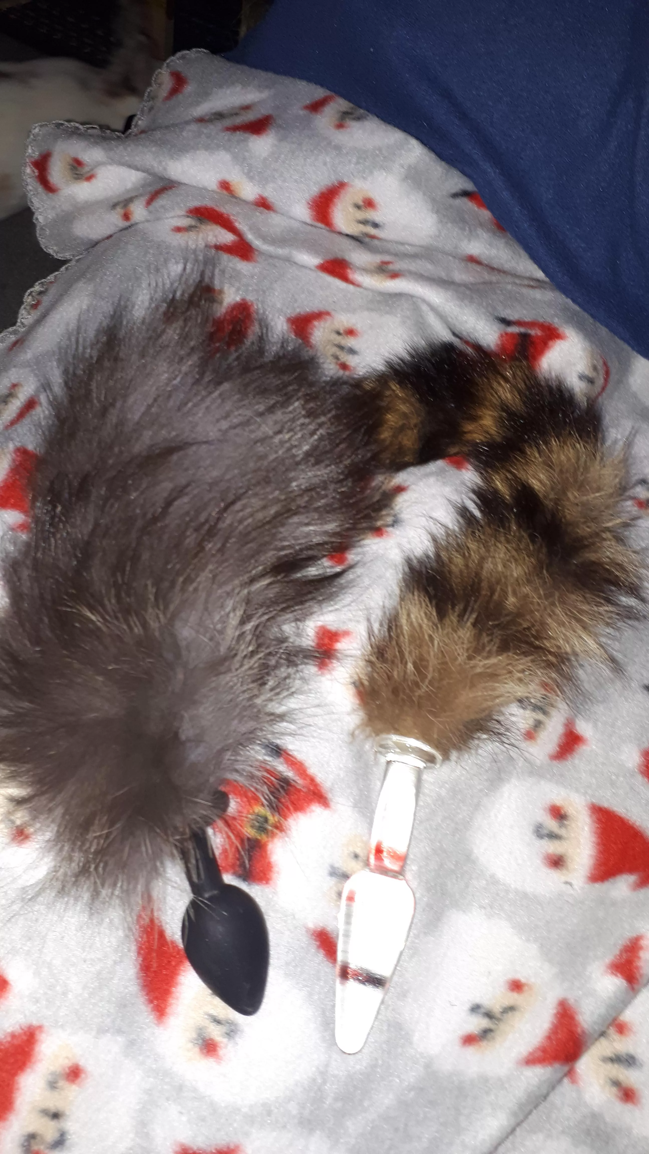 Lets try some sexy tail butt plugs