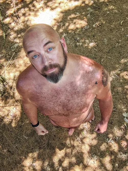 Let's walk in the woods together