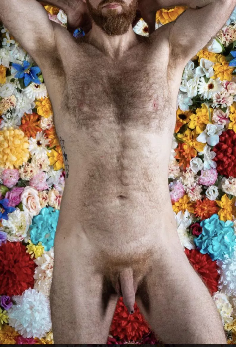 Letter of the day is F! Flowers, Fur! & Foreskin πππ Letter of the day is F! Flowers, Fur! & Foreskin πππ