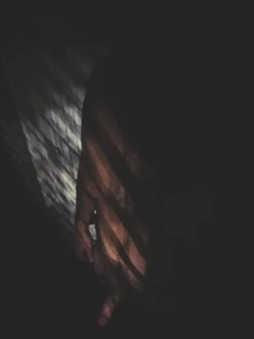 Letting the light in