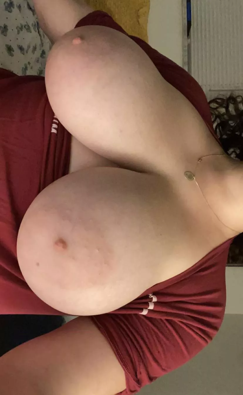 Letting them loose for a while. What u think? Letting them loose for a while. What u think?