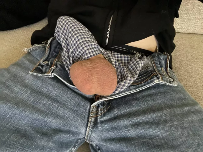 Letting them out Letting them out