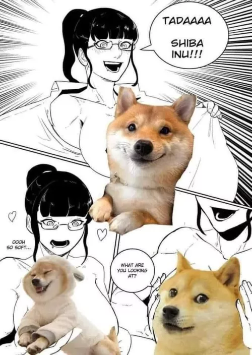 LF Mono source: 1girl, shirt, big boobs, touching boobs, glasses, “TADA SHIBA INU” “Ooh so soft” “What are you looking at ?”