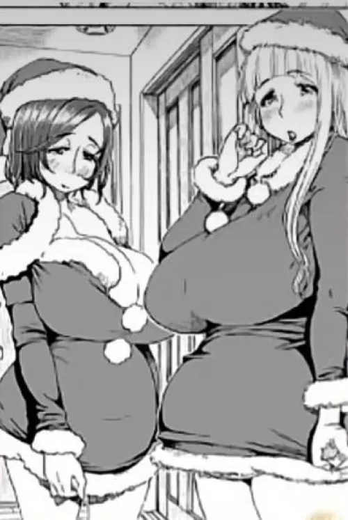 LF mono source: 2girls, big tits, milf, christmas clothes, christmas hats, dark hair, light hair, exposed cleavage, covered cleavage, bare legs, short dress, long hair, short hair.