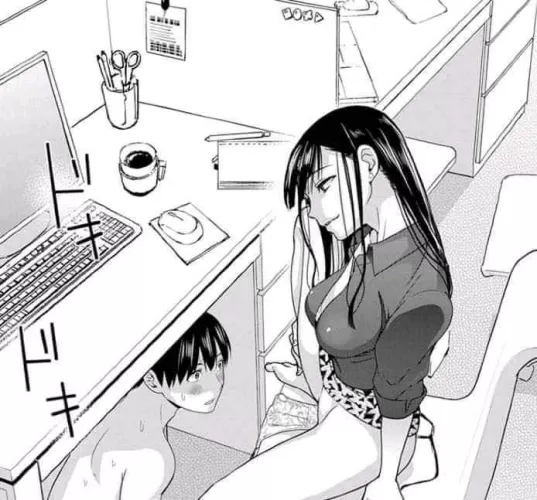 LF Mono Source: foreign text, 1girl, 1boy, short hair, long hair, laptop, desk, legs spread, enticing, naked, shirt on
