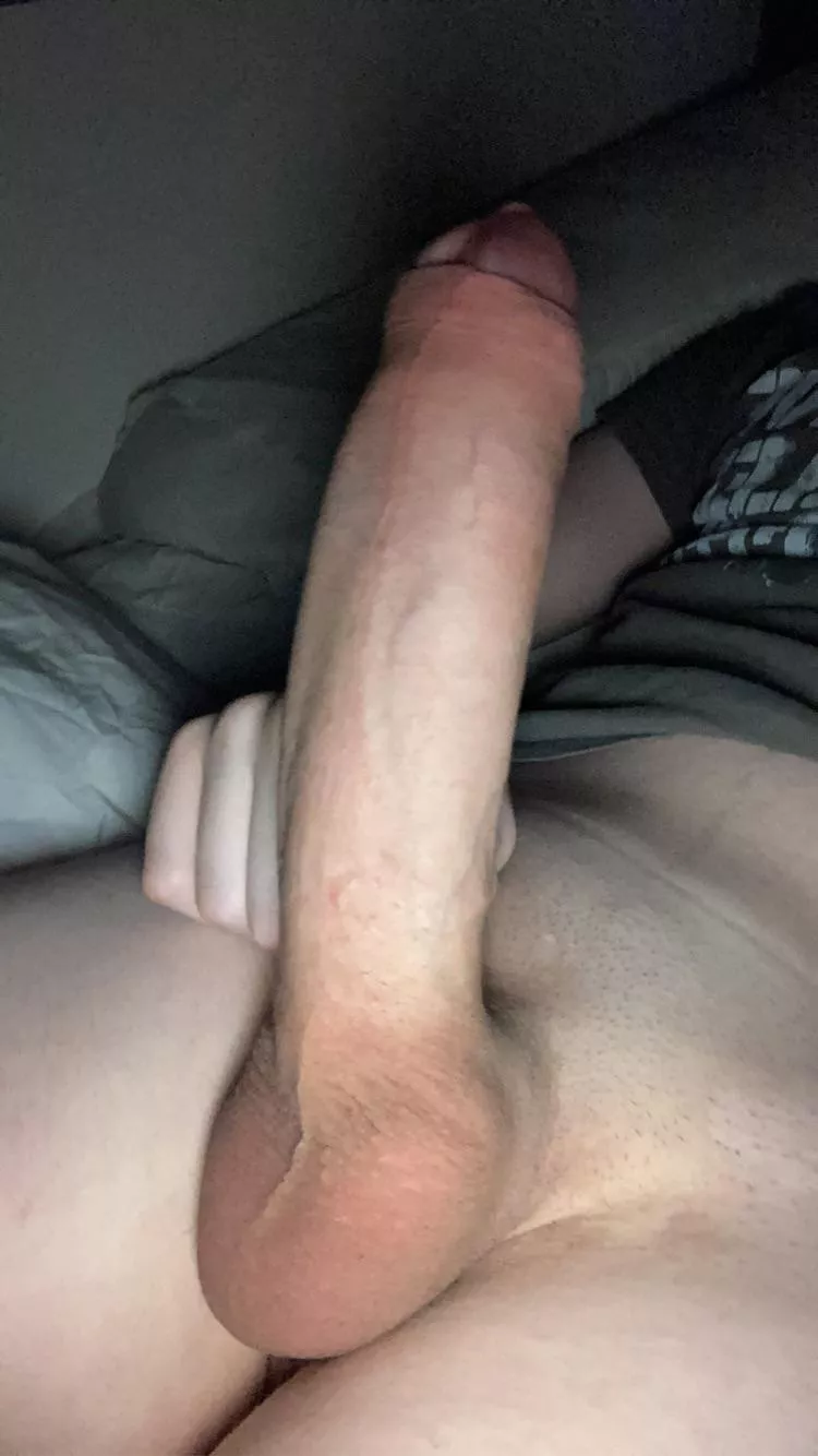 Lick it from my balls to the tip Lick it from my balls to the tip