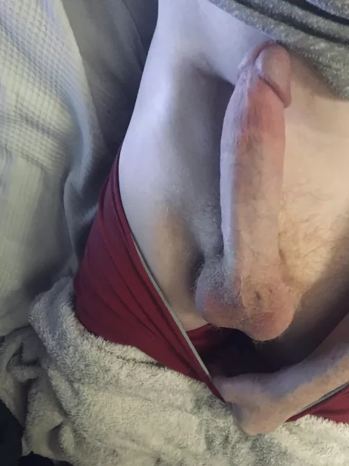 Lick me from balls to tip.