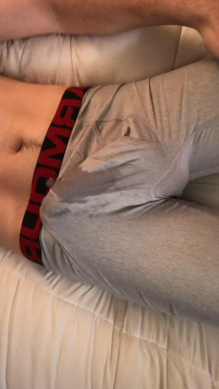 lick my cum covered bulge?