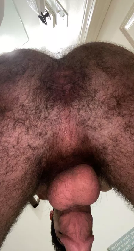 Lick my hairy hole while Iām sitting on u