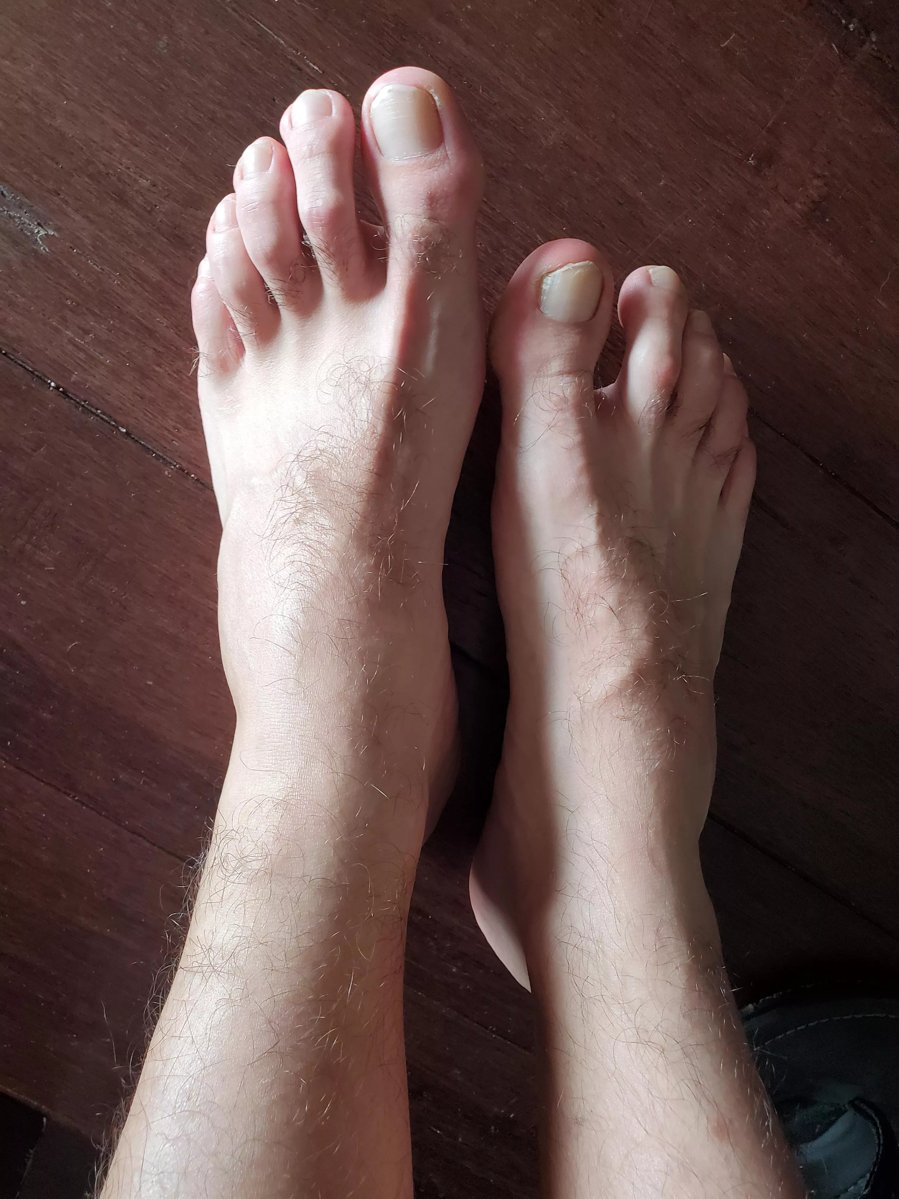 Lick my hairy toes