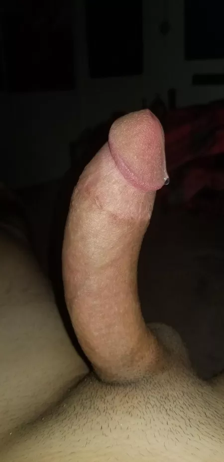 Lick my precum offπ
 (M)20